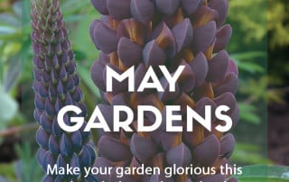 Top ten plants for May gardens