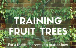 Grow your own by training fruit trees at home