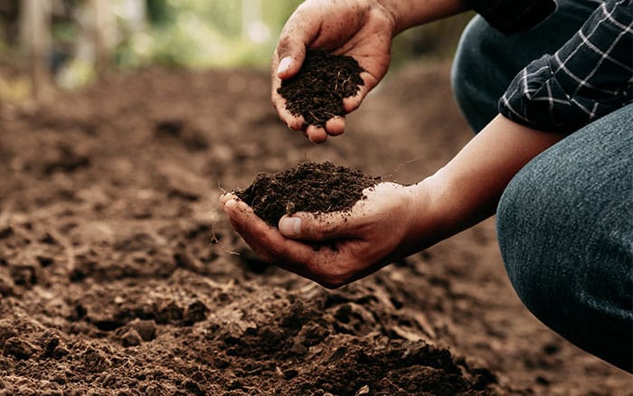 compost