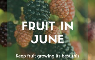 Grow your own fruit in June feature