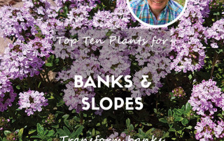 banks and slopes feature