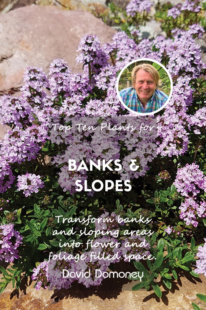 banks and slopes feature