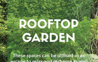 Designing a rooftop garden