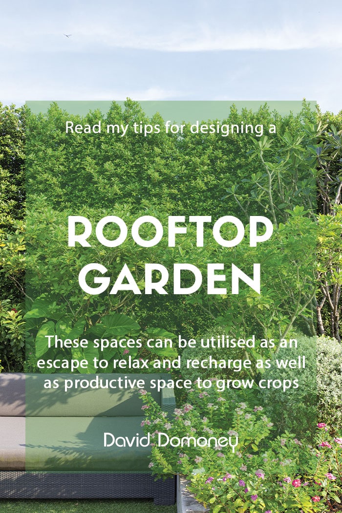 Designing a rooftop garden