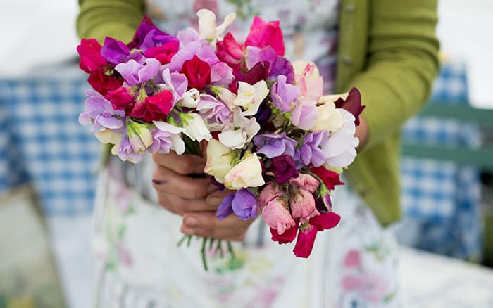 Rose-petal-salad-2