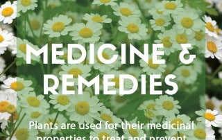Plants used in drugs medicines and remedies