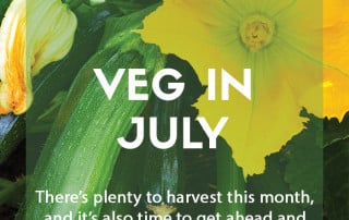 Top grow your own veg for July