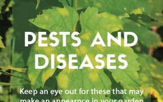 Top job for July - Pest and disease watch