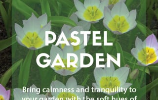 Top plants for creating a pastel garden