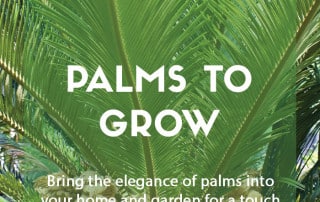 Top ten palms to grow in your garden and home