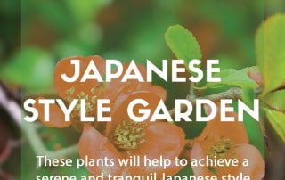 Top ten plants for Japanese style gardens