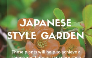 Top ten plants for Japanese style gardens