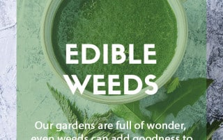 Edible weeds from your garden