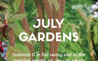 Top ten plants for July gardens