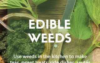 Recipe September Edible weeds