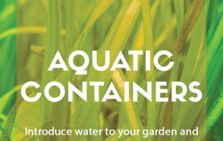 Aquatic container planting designs