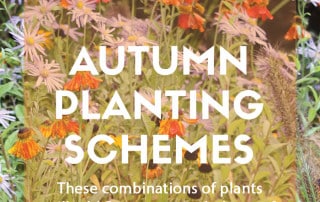 Autumn planting schemes