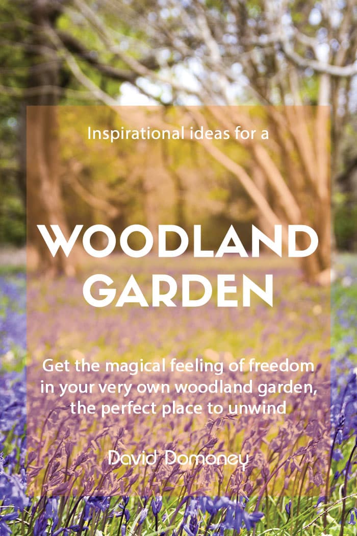 Inspirational ideas for a woodland garden