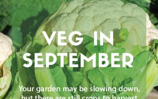 veg in september