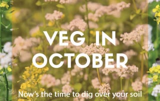 Top grow your own veg for October