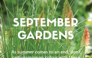 Top ten plants for September
