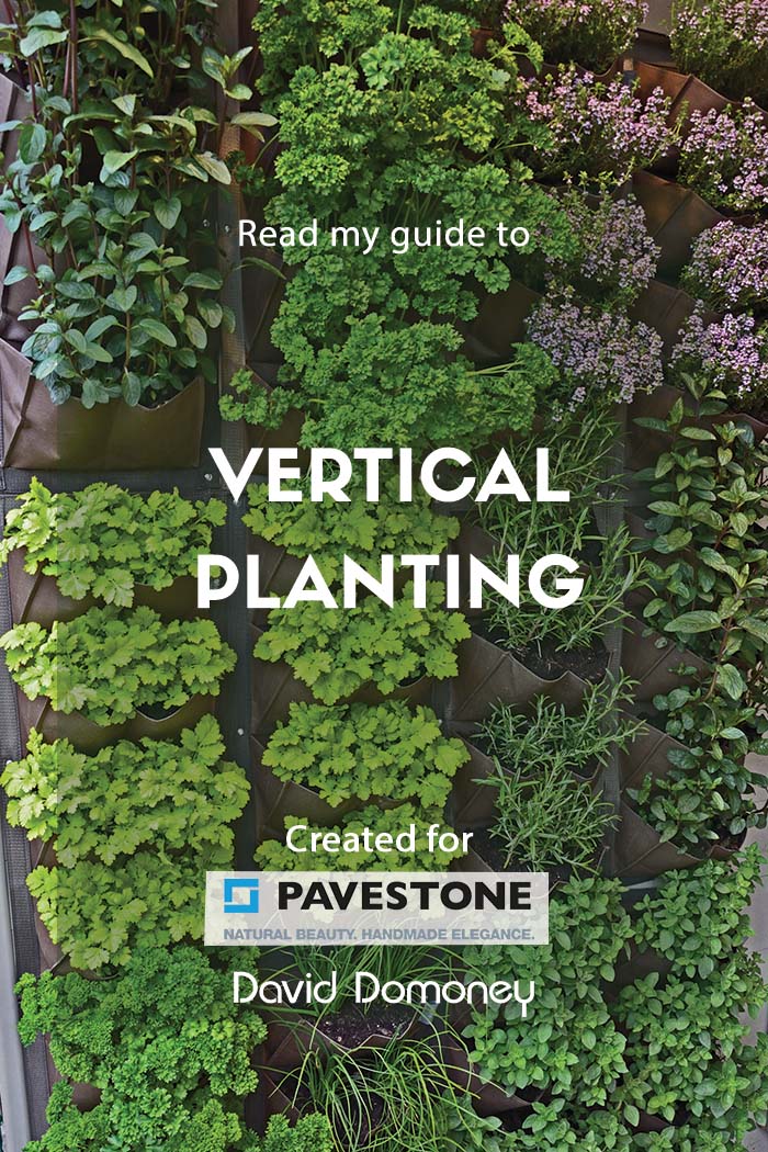 vertical planting
