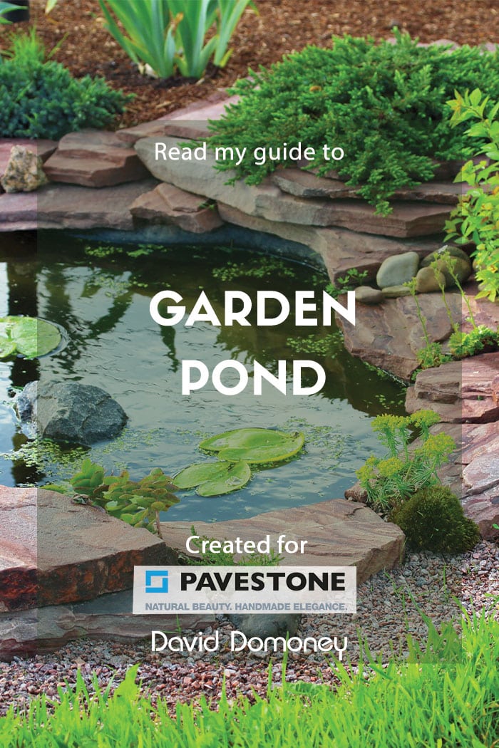 garden ponds