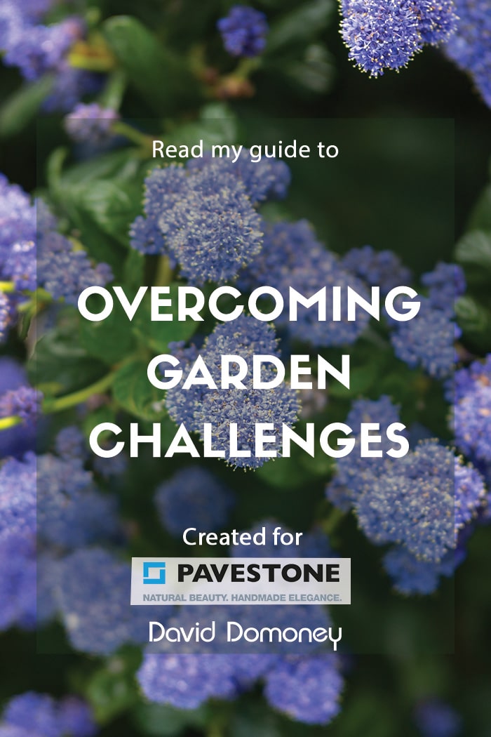 overcoming garden challenges