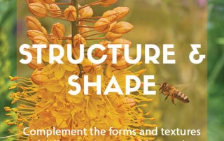 Plant combinations for structure and shape