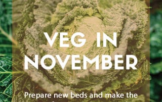Veg to grow in November