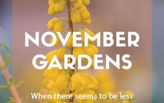 Top ten plants for November gardens