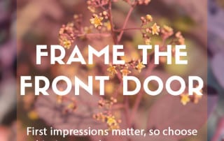 Top ten plants to frame the front door