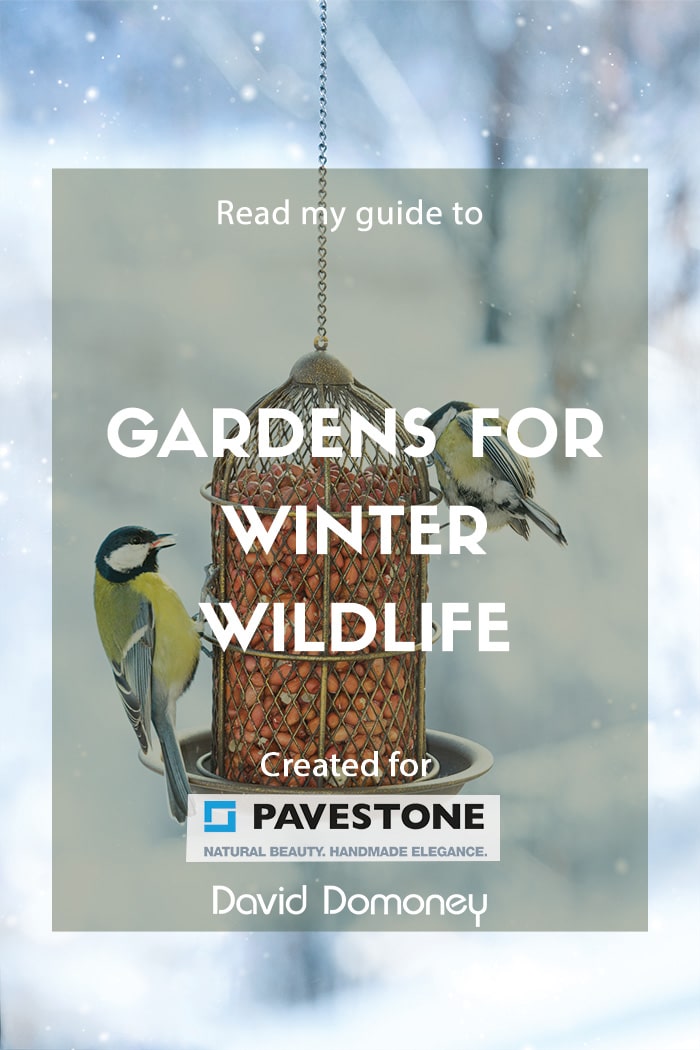 gardens for winter wildlife
