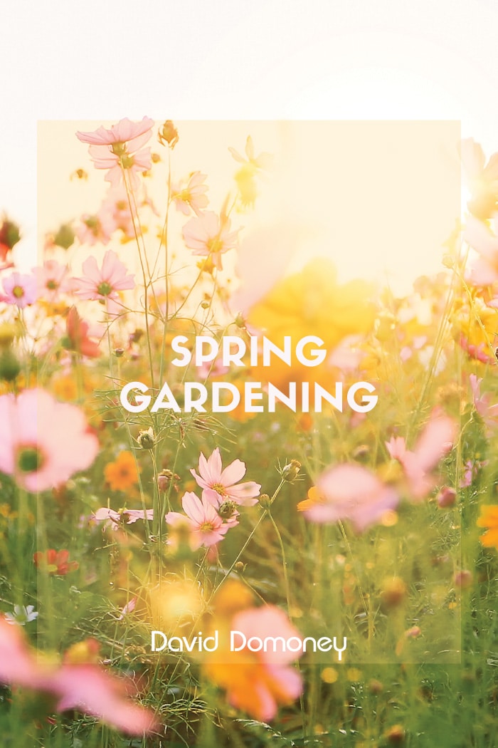 Spring gardening feature