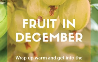 Top GYO fruit for December