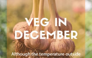 Vegetables to grow in December