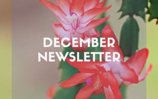 December newsletter