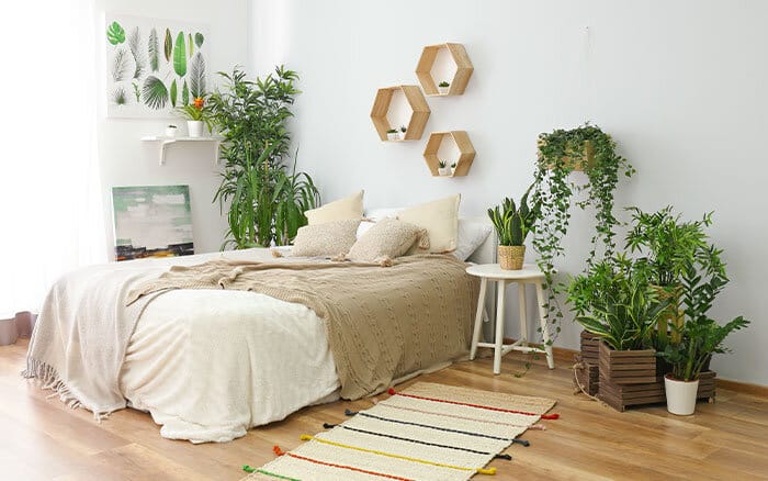 Biophilic-bedroom-design-with-houseplants Rose-petal-salad-2