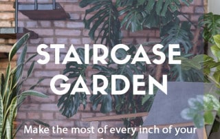 Design a staircase garden