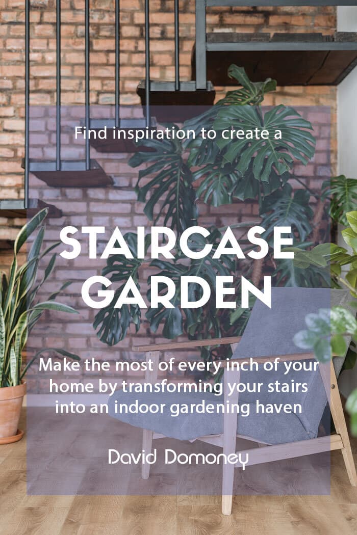 Design a staircase garden
