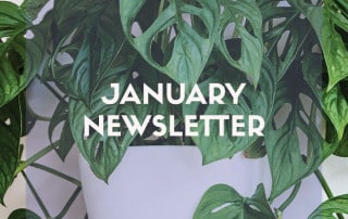 January newsletter