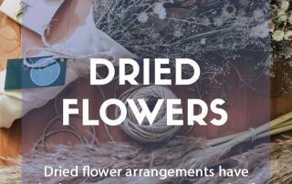 Plants for a purpose - Plants for dried flower arrangements