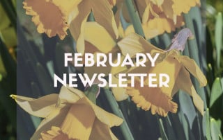 February newsletter