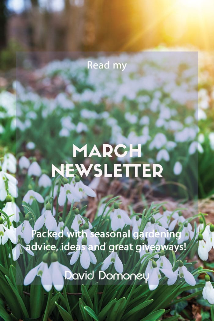 March newsletter website feature