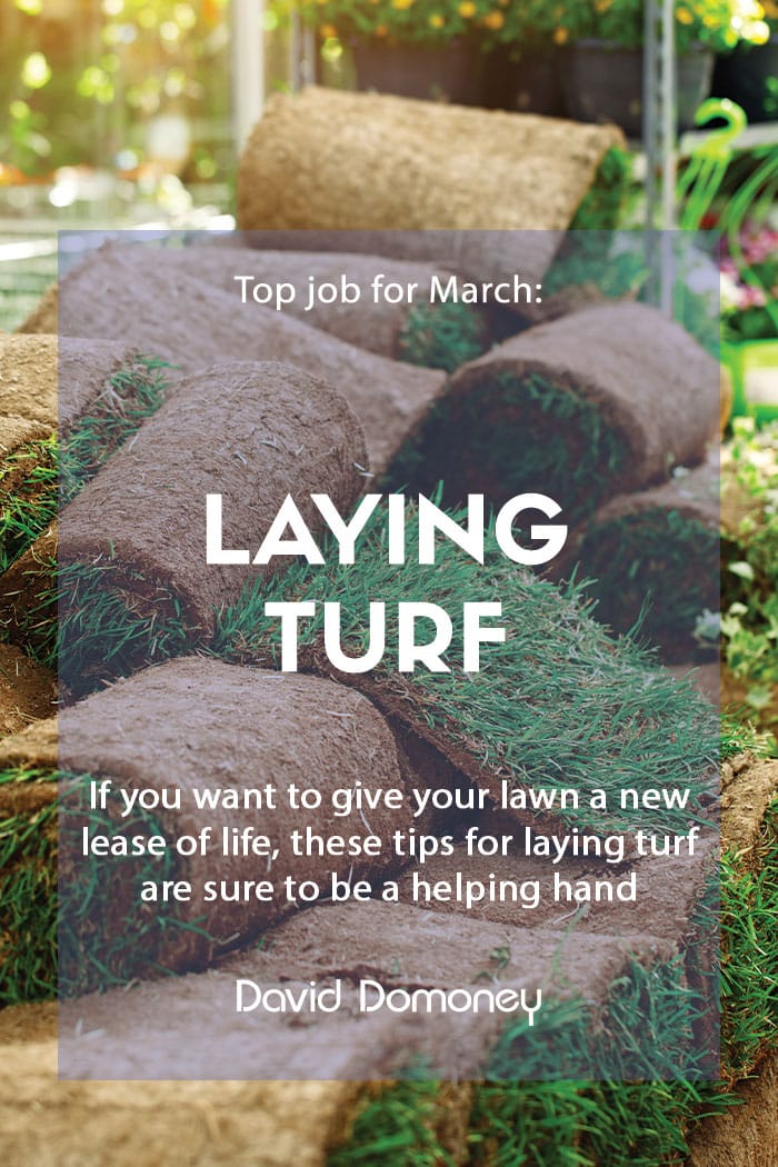 Top jobs for March Laying turf