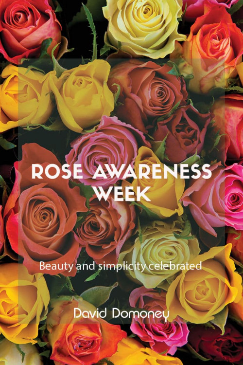 Rose awareness week, feature image