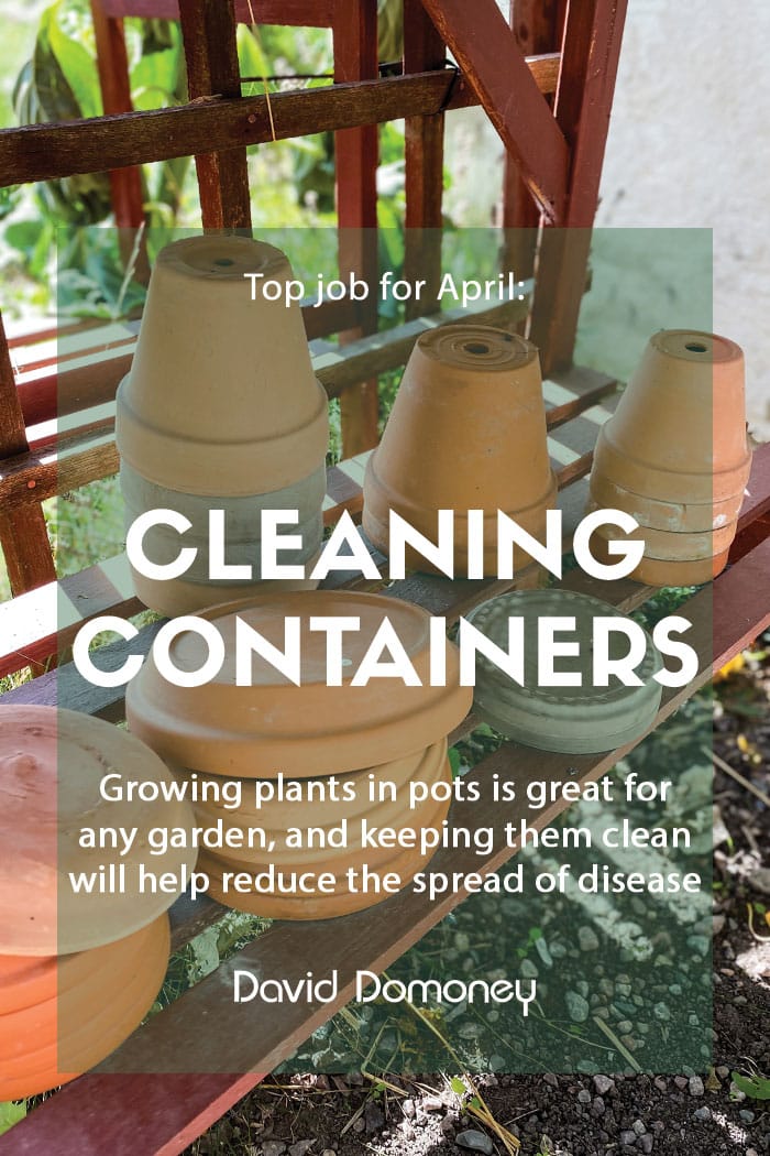 Top job for April Cleaning containers