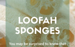 How to grow your own loofah sponges