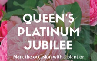 Plants for a purpose - Plants to celebrate the Queen's Platinum Jubilee