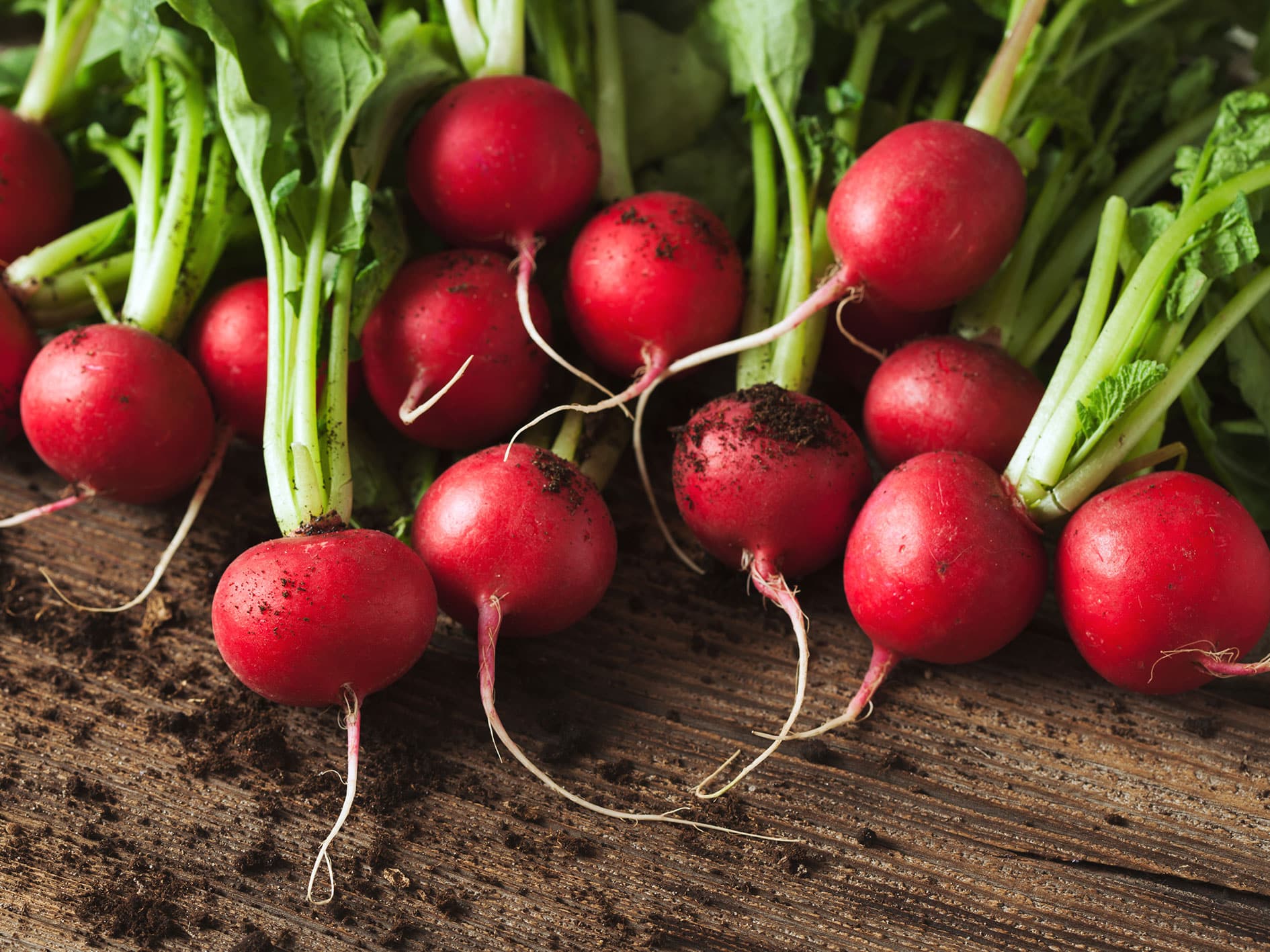 Radishes